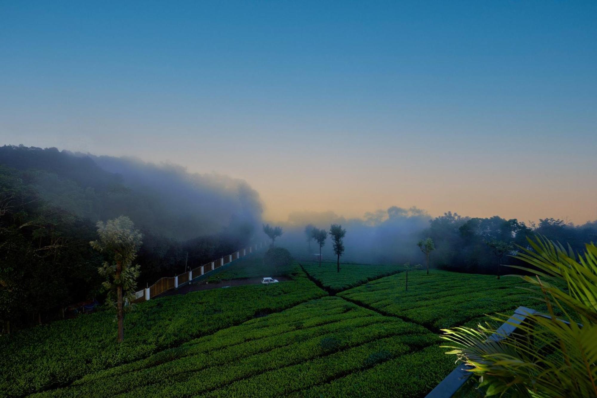 De Rock Jungle Living Resort Coonoor Exterior photo